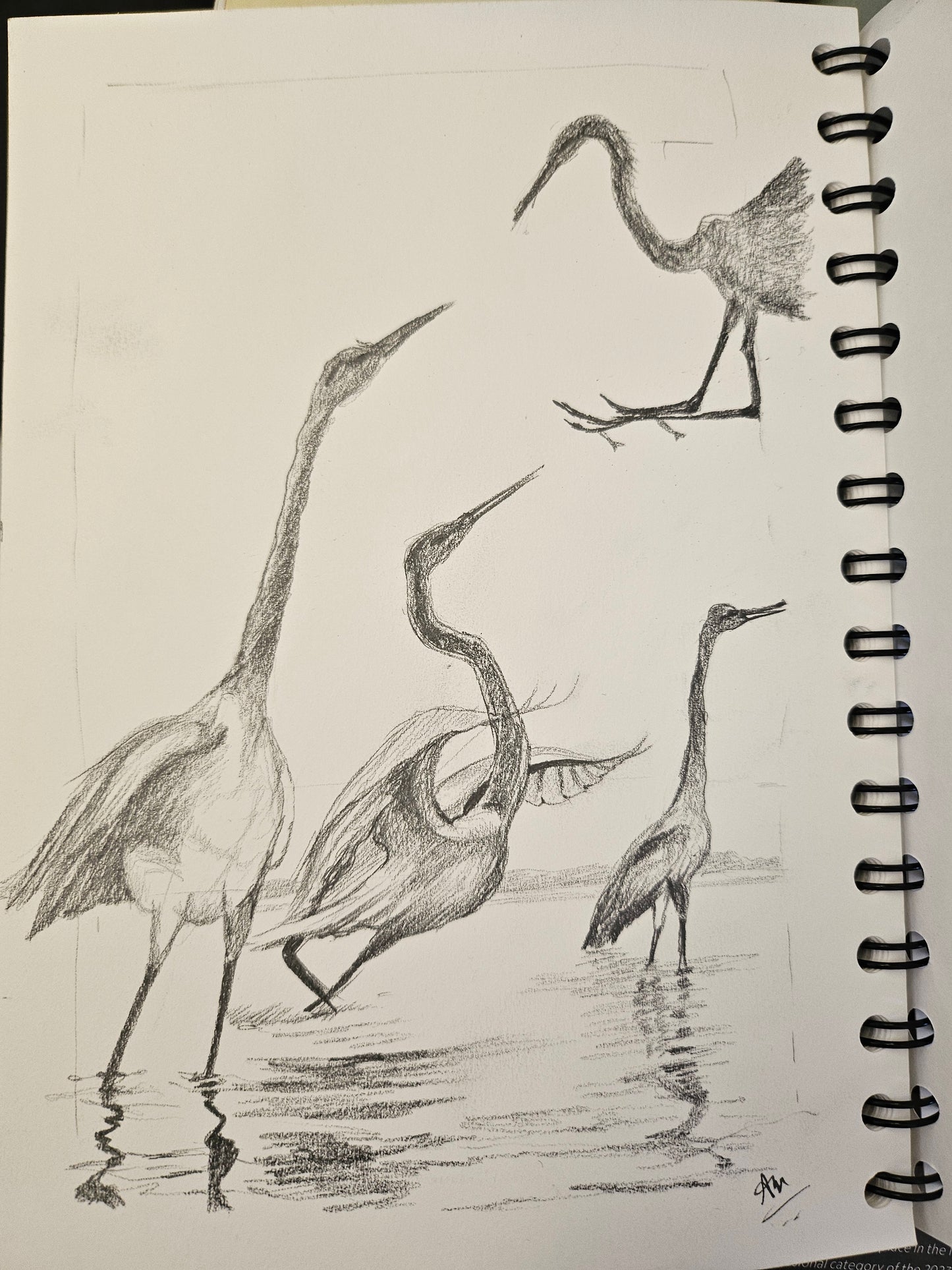 Holiday WORKSHOP 11-1pm A4 Sketch